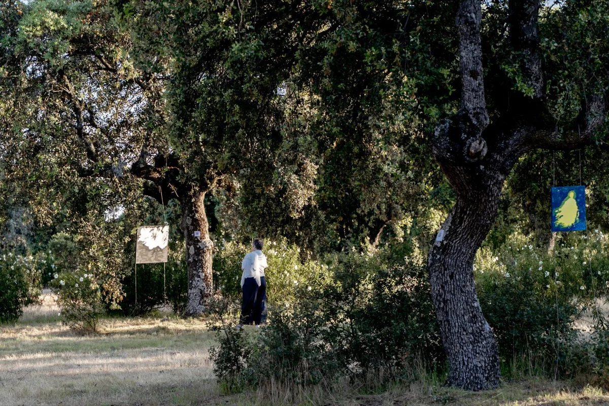 Encuentro: Entre dos Mundos - Finca El Romeral